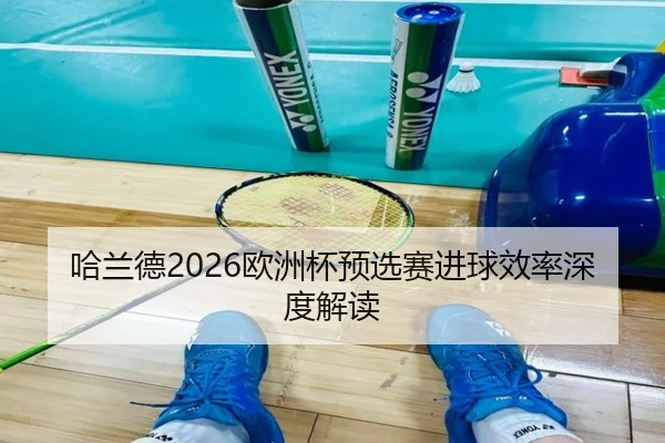 哈兰德2026欧洲杯预选赛进球效率深度解读